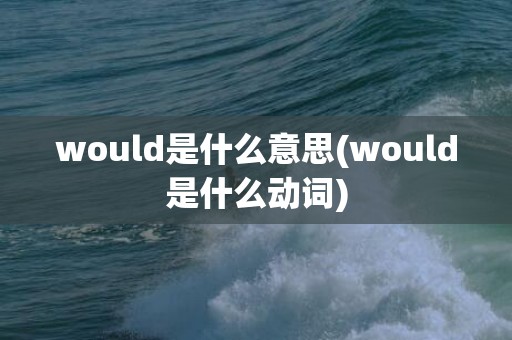 would是什么意思(would是什么动词)