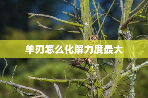 羊刃怎么化解力度最大