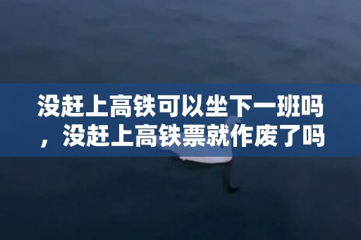 没赶上高铁可以坐下一班吗，没赶上高铁票就作废了吗
