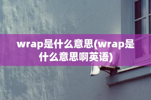 wrap是什么意思(wrap是什么意思啊英语)