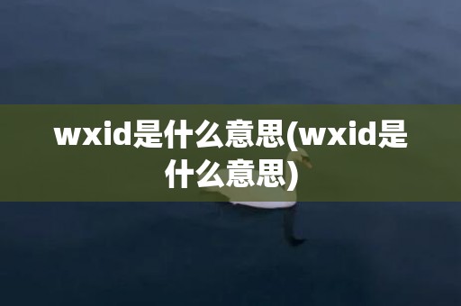 wxid是什么意思(wxid是什么意思)