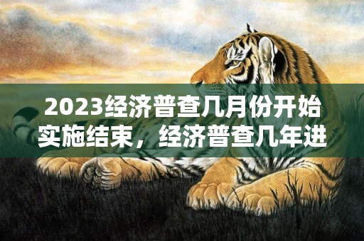2023经济普查几月份开始实施结束，经济普查几年进行一次