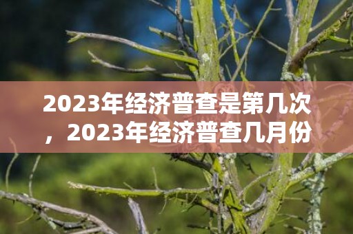 2023年经济普查是第几次，2023年经济普查几月份开始几月份结束
