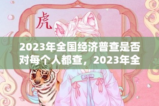 2023年全国经济普查是否对每个人都查，2023年全国经济普查会上门吗