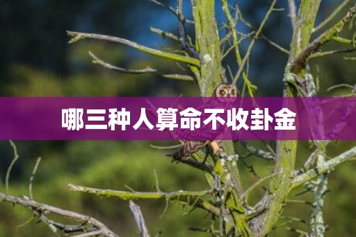 哪三种人算命不收卦金