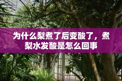 为什么梨煮了后变酸了，煮梨水发酸是怎么回事