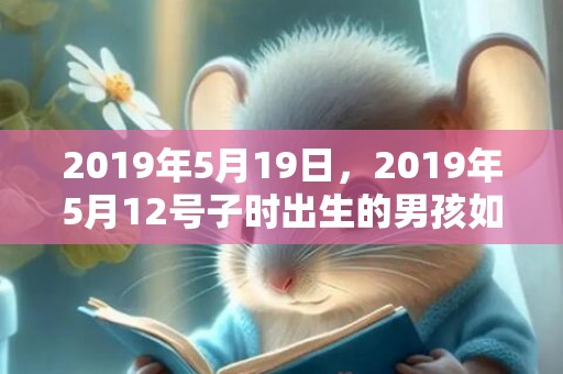 2019年5月19日，2019年5月12号子时出生的男孩如何起名