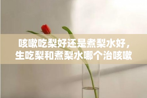 咳嗽吃梨好还是煮梨水好，生吃梨和煮梨水哪个治咳嗽更好