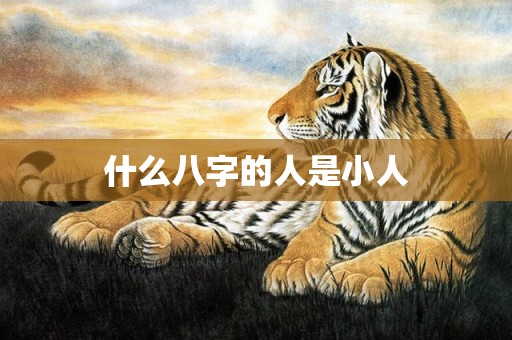 什么八字的人是小人