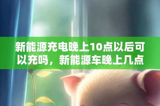 新能源充电晚上10点以后可以充吗，新能源车晚上几点充电最便宜