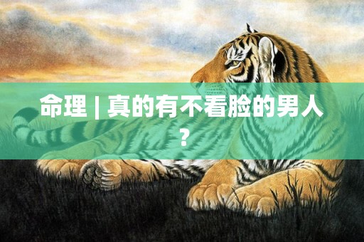 命理 | 真的有不看脸的男人？