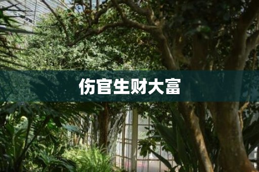 伤官生财大富