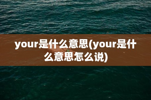 your是什么意思(your是什么意思怎么说)
