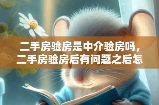 二手房验房是中介验房吗，二手房验房后有问题之后怎么处理
