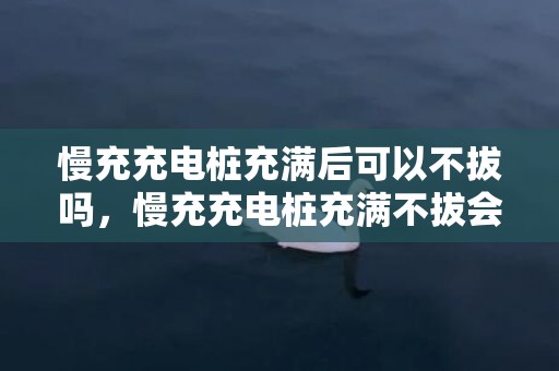 慢充充电桩充满后可以不拔吗，慢充充电桩充满不拔会怎样