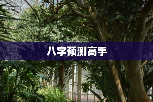 八字预测高手