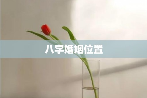 八字婚姻位置