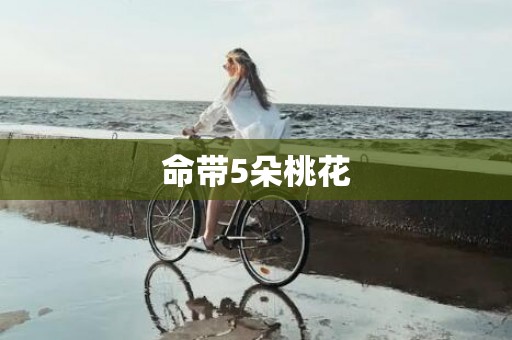 命带5朵桃花