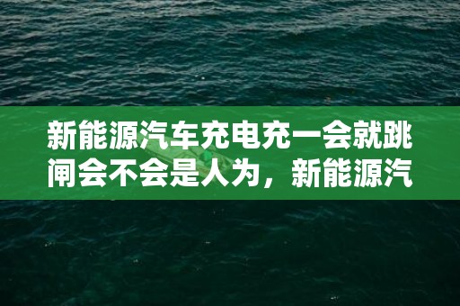 新能源汽车充电充一会就跳闸会不会是人为，新能源汽车充电充一会就跳闸怎么解决