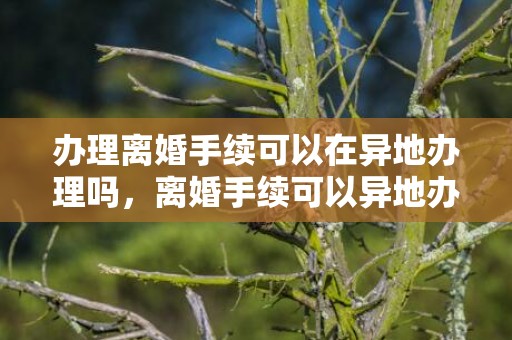 办理离婚手续可以在异地办理吗，离婚手续可以异地办理么现在 离婚手续怎么办