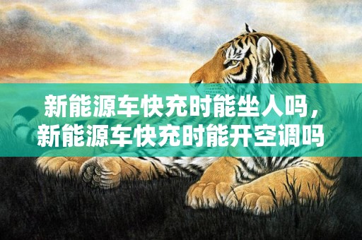 新能源车快充时能坐人吗，新能源车快充时能开空调吗