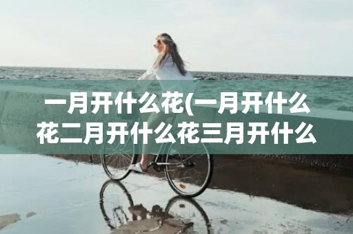 一月开什么花(一月开什么花二月开什么花三月开什么花)