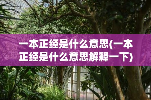 一本正经是什么意思(一本正经是什么意思解释一下)