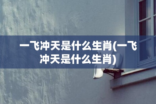 一飞冲天是什么生肖(一飞冲天是什么生肖)