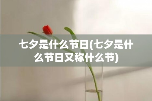七夕是什么节日(七夕是什么节日又称什么节)