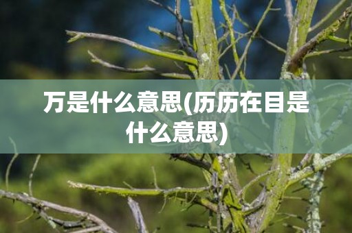 万是什么意思(历历在目是什么意思)