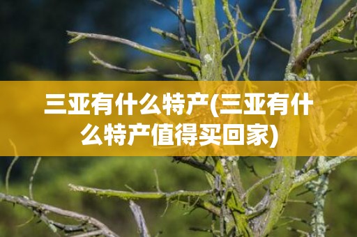三亚有什么特产(三亚有什么特产值得买回家)
