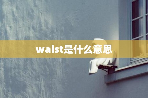 waist是什么意思