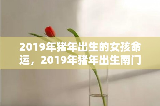 2019年猪年出生的女孩命运，2019年猪年出生南门姓女孩怎么样起名字，南门姓女孩好名推荐