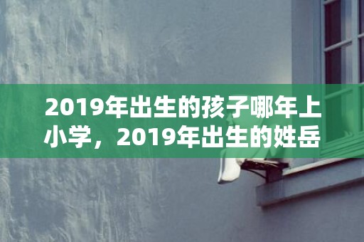 2019年出生的孩子哪年上小学，2019年出生的姓岳女孩如何起名，宜用什么字