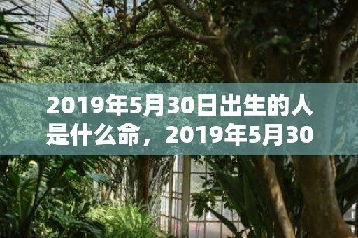 2019年5月30日出生的人是什么命，2019年5月30号出生的女宝宝五行缺土要怎么起名字