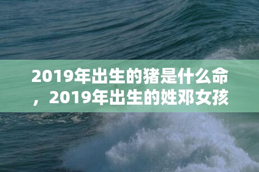 2019年出生的猪是什么命，2019年出生的姓邓女孩如何起名，宜用什么字