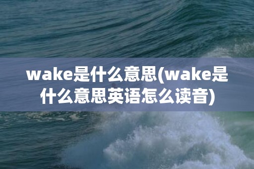 wake是什么意思(wake是什么意思英语怎么读音)