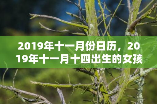 2019年十一月份日历，2019年十一月十四出生的女孩如何起名字，五行属什么