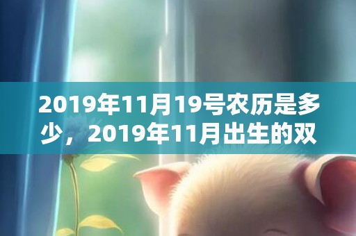 2019年11月19号农历是多少，2019年11月出生的双胞胎女孩起什么名字吉祥，不适合用哪些字