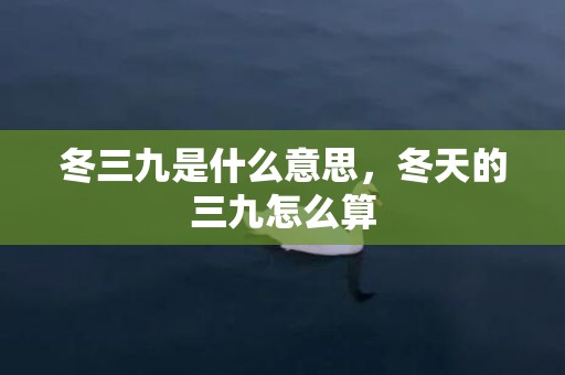 冬三九是什么意思，冬天的三九怎么算