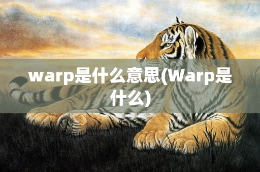 warp是什么意思(Warp是什么)