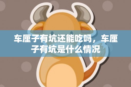 车厘子有坑还能吃吗，车厘子有坑是什么情况
