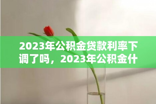 2023年公积金贷款利率下调了吗，2023年公积金什么时候可以提取