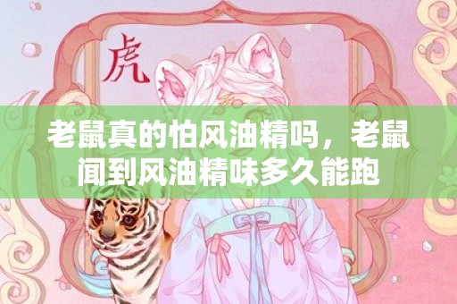 老鼠真的怕风油精吗，老鼠闻到风油精味多久能跑