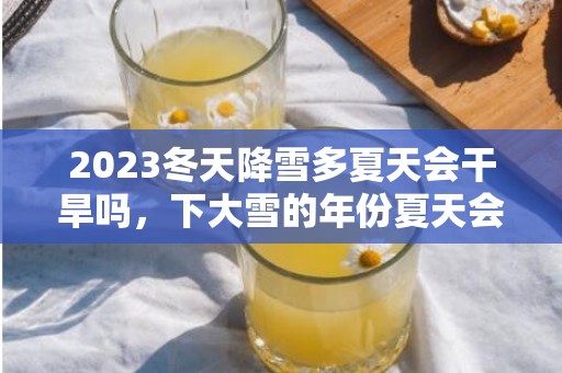2023冬天降雪多夏天会干旱吗，下大雪的年份夏天会怎样