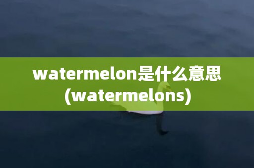 watermelon是什么意思(watermelons)