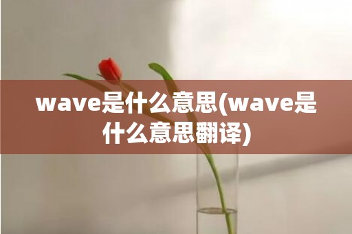 wave是什么意思(wave是什么意思翻译)