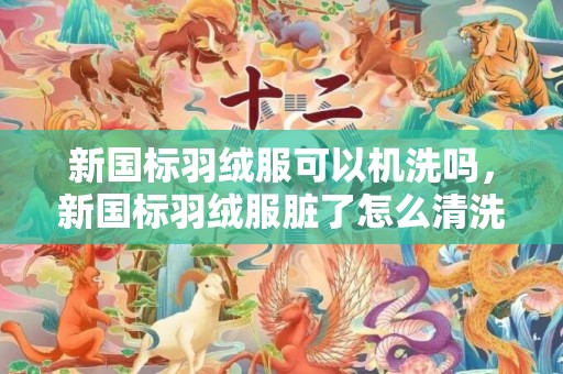 新国标羽绒服可以机洗吗，新国标羽绒服脏了怎么清洗