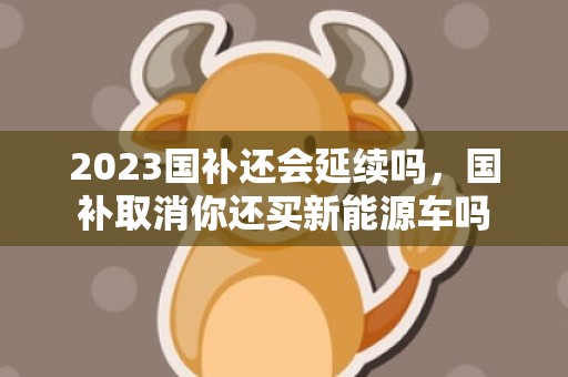 2023国补还会延续吗，国补取消你还买新能源车吗