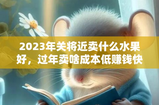 2023年关将近卖什么水果好，过年卖啥成本低赚钱快